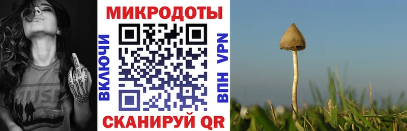 Псилоцибиновые грибы мицелий хочу Мещовск